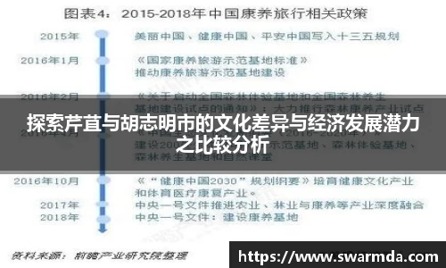 探索芹苴与胡志明市的文化差异与经济发展潜力之比较分析